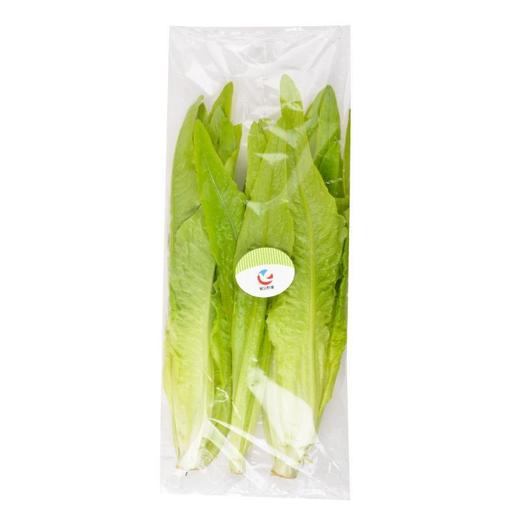 每日伊藤油麦菜 约 300g/袋 商品图4