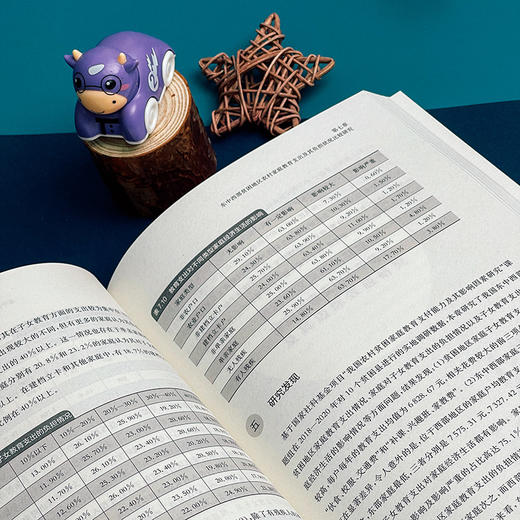 通路 农村家庭教育支付能力探索 林荣日等著 商品图7