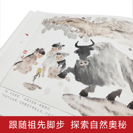 水与墨：色彩的秘密    2年级正版现货速发|名师推荐|小学生课外阅读二年级 商品图1