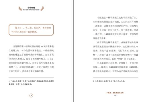 奇特物种    5年级正版现货速发|名师推荐|小学生课外阅读五年级 商品图3