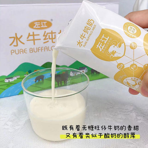 热卖！！【左江水牛奶】珍稀奶源，原生牧场的乳中珍品纯奶，3.9克乳蛋白，100%的纯水牛乳0添加剂0腥味0糖，口感堪称“减糖版旺仔”，醇甜丝滑如冰淇淋喝一口就爱上！ 商品图0