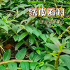 热卖！！【霍山石斛粉】中华九大仙草之一，选用霍山铁皮石斛，破壁至30000目的细小颗粒，入口即化，利于人体的吸收，食用价值高 商品缩略图3