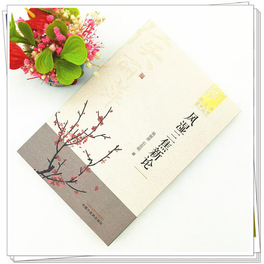 【出版社直销】风湿三焦新论 候丽萍 石岳明 著 （候丽萍医学丛书）中国中医药出版社 中医风湿病学名老中医经验集书籍 商品图2