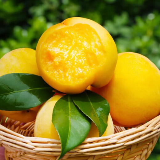 山东蒙阴黄金蜜毛桃 4.5-5斤10-14个彩箱装 一果一格 足斤，未满格为正常现象 商品图0