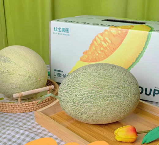 新疆 哈密瓜 6斤左右2颗 商品图0