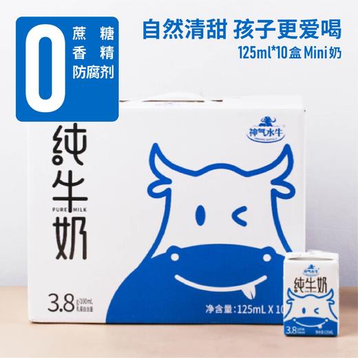 【神气水牛纯牛奶】广西水牛奶125ml*10盒高钙牛奶礼盒装营养儿童牛奶 商品图2