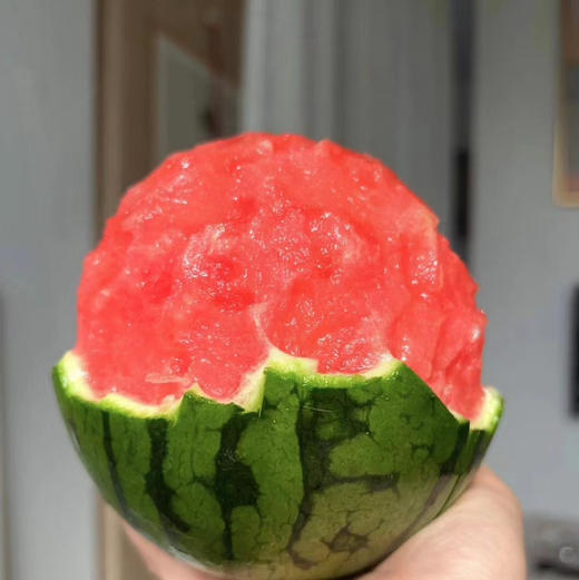 庞各庄冰糖小西瓜 商品图3