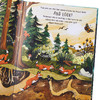 【中商原版】Sandra Dieckmann 秘密森林 Secret Forest 英文原版进口童书 儿童绘本 大自然动植物 找找书图画书 4-7岁 礼品书 商品缩略图3