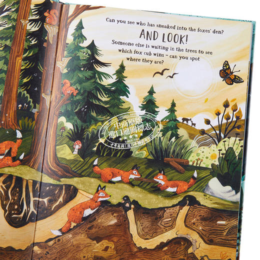 【中商原版】Sandra Dieckmann 秘密森林 Secret Forest 英文原版进口童书 儿童绘本 大自然动植物 找找书图画书 4-7岁 礼品书 商品图3