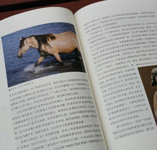 《中国马文化》，16开彩印，全10册，刘炘主编，读者出版社2019年一版一印，2900多页，定价1800，售价：428元。品相95成。 商品图14