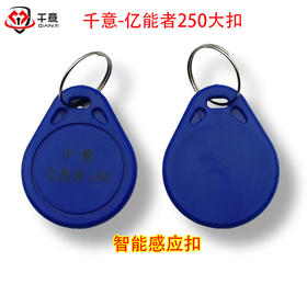 千意-亿能者250大扣