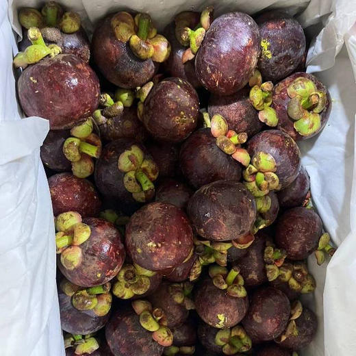 4A麻竹，个头大，风味浓，甜度高，个个白胖子，一份3斤 商品图1