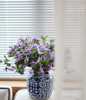 【星河】进口铁线莲  紫色  5枝/扎 商品缩略图2