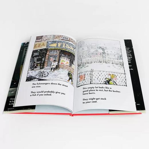 英文原版SMALL IN THE CITY大城市里的小人物6-9岁幼儿童英语启蒙认知绘本图画书Sydney Smith 商品图1