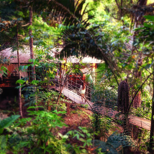 加雅岛大红花度假村 商品图3