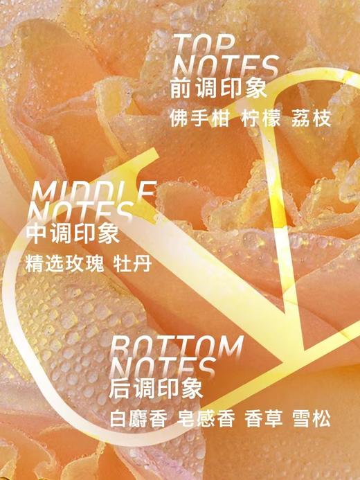 华伦天奴白日玫瑰香水 商品图3