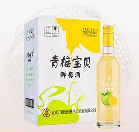 （整箱）青梅宝贝牌鲜梅酒 8度 500mL*6瓶