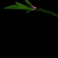 沐枫长文字沐枫长文字沐枫长文字沐枫长文字沐枫长文字沐枫长文字沐枫长文字沐枫长文字沐枫长文字沐枫长文字