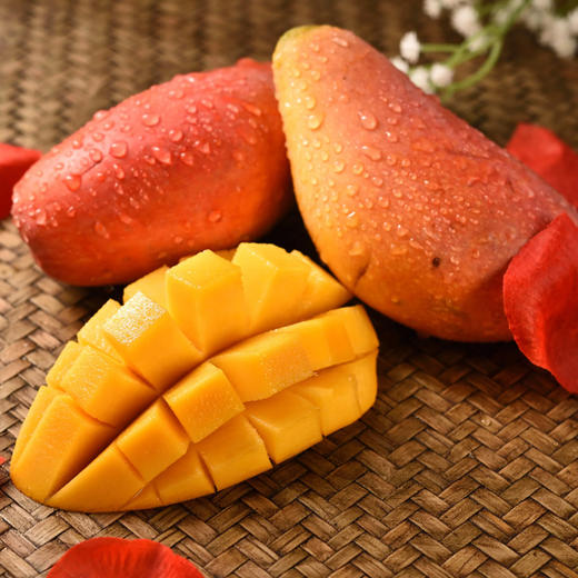 广西百色贵妃芒10斤装（现摘现发） 商品图0