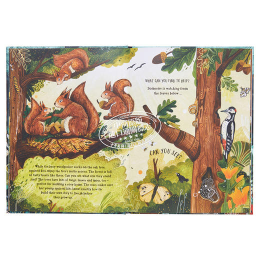 【中商原版】Sandra Dieckmann 秘密森林 Secret Forest 英文原版进口童书 儿童绘本 大自然动植物 找找书图画书 4-7岁 礼品书 商品图4