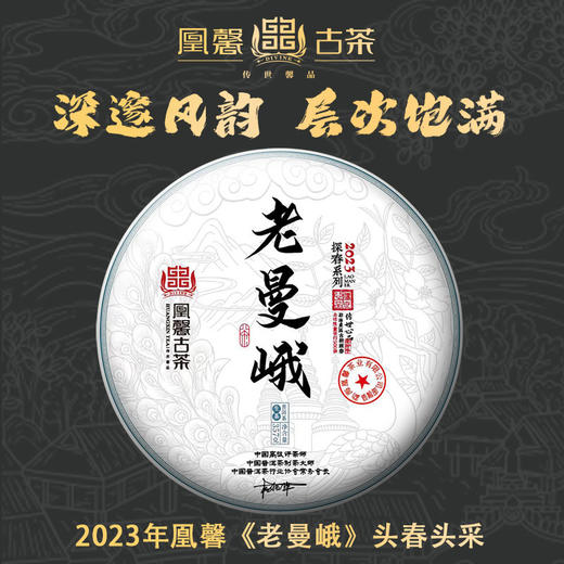 凰馨古茶2023年老曼峨357克生茶探春系列 拍五发六 商品图1