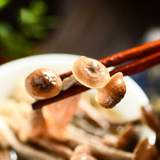 【消费助农】鑫勇泰秭归鹿茸菇100g 商品图4