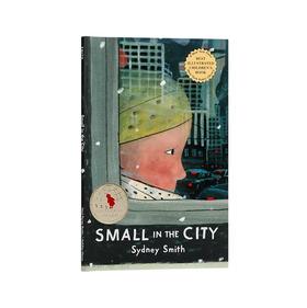 英文原版SMALL IN THE CITY大城市里的小人物6-9岁幼儿童英语启蒙认知绘本图画书Sydney Smith