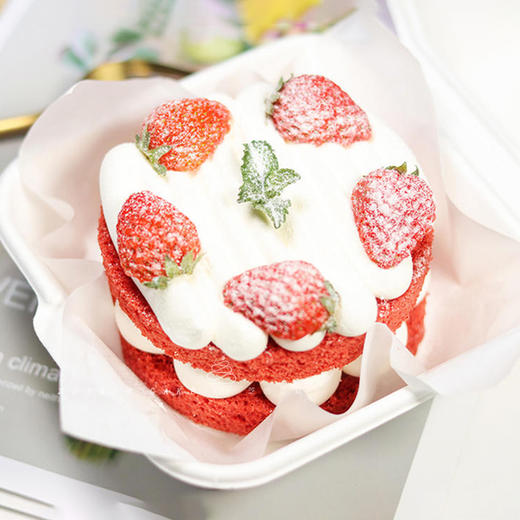 便当盒子蛋糕五选一-动物奶油 商品图4