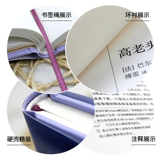 巴尔扎克人间喜剧:高老头+欧也妮·葛朗台 文轩版(全2册)  商品图2