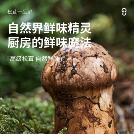 松鲜鲜松茸调味料108g（8613637） 商品图2