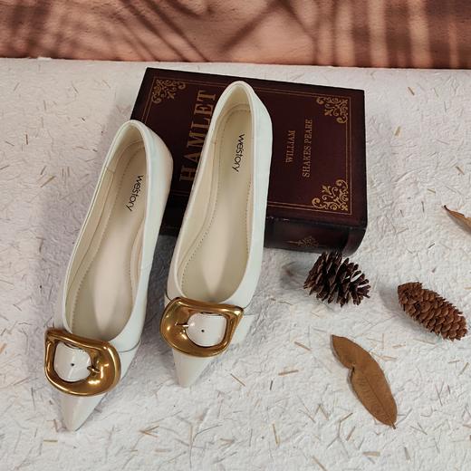 westory2023秋季新款金属饰扣细低跟尖头牛皮舒适女单鞋73531 商品图7