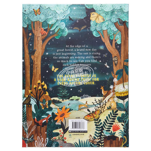 【中商原版】Sandra Dieckmann 秘密森林 Secret Forest 英文原版进口童书 儿童绘本 大自然动植物 找找书图画书 4-7岁 礼品书 商品图1