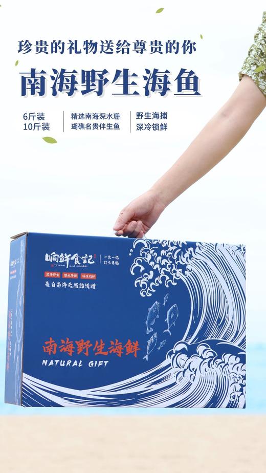 南海野生海鱼礼盒 商品图5