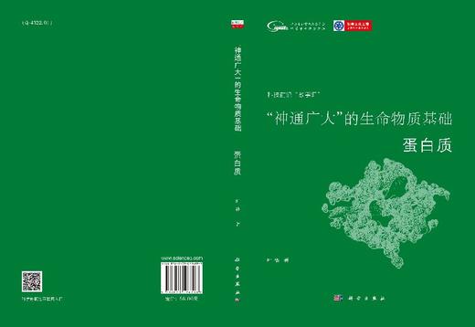 “神通广大”的生命物质基础：蛋白质 商品图3