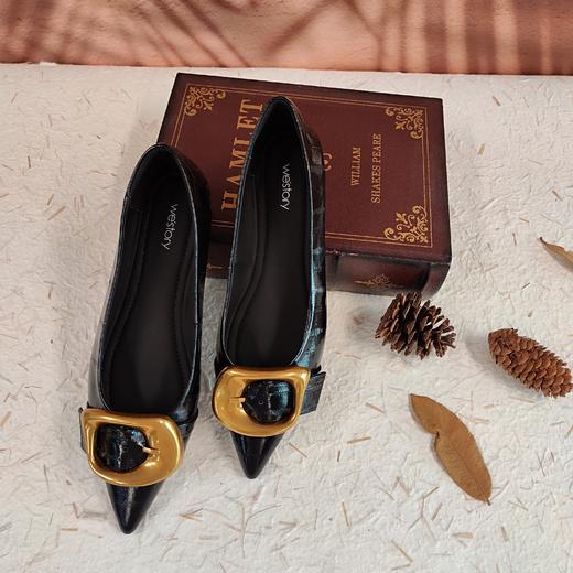 westory2023秋季新款金属饰扣细低跟尖头牛皮舒适女单鞋73531 商品图8