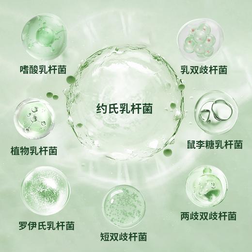 美国Cinmose辛莫斯牌益生菌菊粉糖果125g(50粒） 商品图2