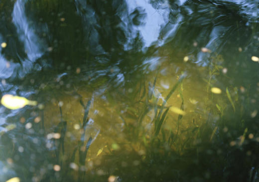 蒂普提克Diptyque 无花果 谭道檀道 50ml  广霍之韵75ml 高级小众的香 商品图3