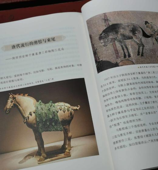 《中国马文化》，16开彩印，全10册，刘炘主编，读者出版社2019年一版一印，2900多页，定价1800，售价：428元。品相95成。 商品图12