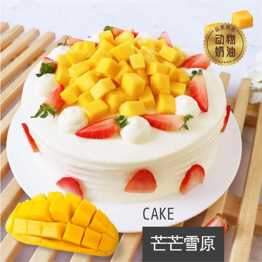 芒芒雪原 商品图1