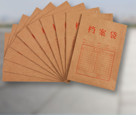 【仅供集采】齐心 AP-123牛皮纸档案袋175克 侧宽28mm 50个/包