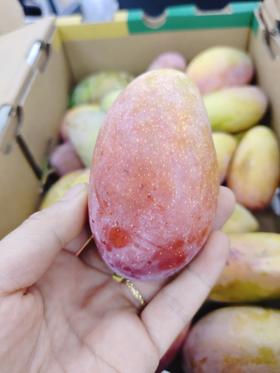贵妃芒一箱（拼团）