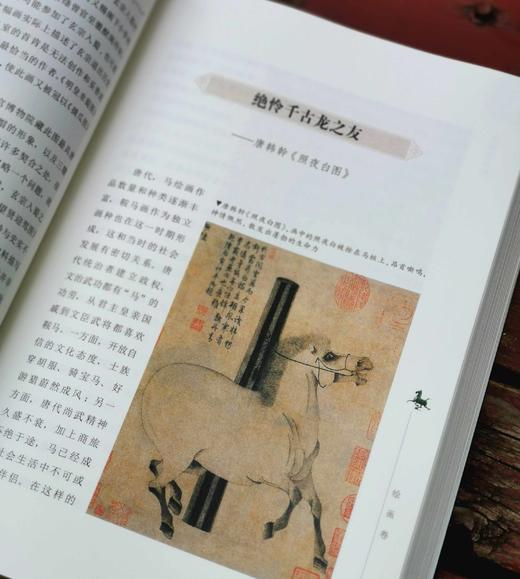 《中国马文化》，16开彩印，全10册，刘炘主编，读者出版社2019年一版一印，2900多页，定价1800，售价：428元。品相95成。 商品图6