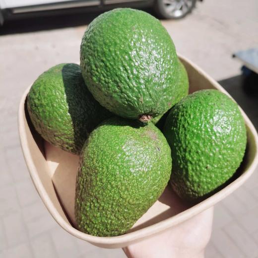 新鲜牛油果纯真鲜果 商品图0