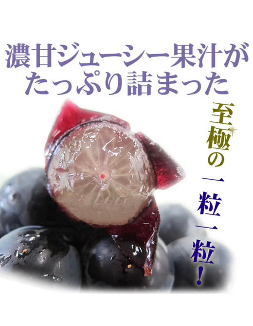 日本🇯🇵匠之巨峰葡萄🍇 商品图4