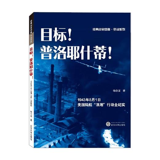 目标 普洛耶什蒂 1943年8月1日美国陆航 浪潮 行动全纪实 杨合龙 著 军事 商品图0