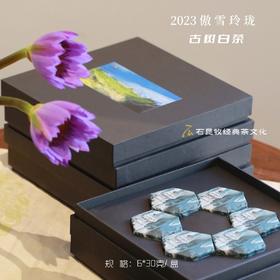 2023年傲雪玲珑·古树白茶 “暖色调” 粽叶的糯香/梨子的甜润