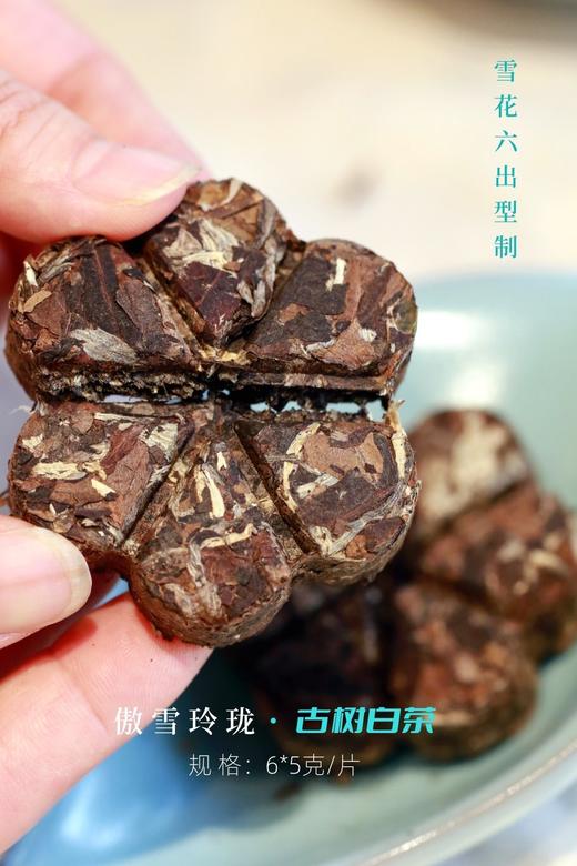 2023年傲雪玲珑·古树白茶 “暖色调” 粽叶的糯香/梨子的甜润 商品图1
