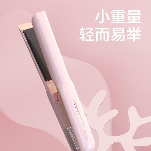 海尔（haier）HZM1-2119直发器 商品图2