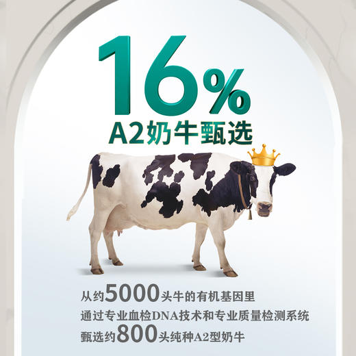 【2箱】圣牧有机 A2纯牛奶 200ml*10盒*2箱 3.6g蛋白 商品图3