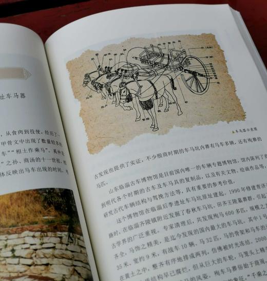 《中国马文化》，16开彩印，全10册，刘炘主编，读者出版社2019年一版一印，2900多页，定价1800，售价：428元。品相95成。 商品图11